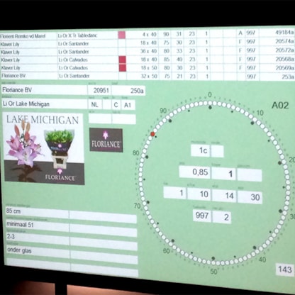 De digitale veilingklok in Aalsmeer waar de lelies verhandeld worden