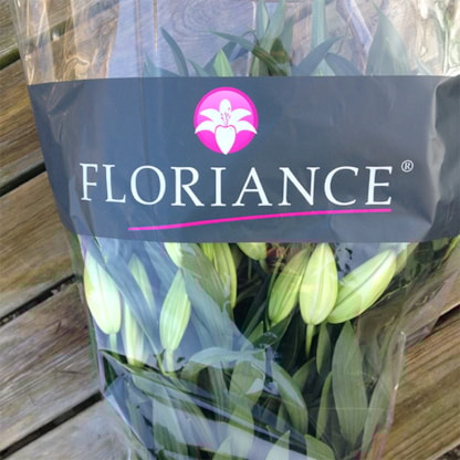 Als afsluiting een mooie bos mee voor thuis > bedankt