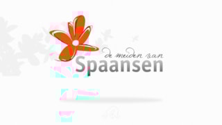 JuRstijl-LG-De-Meiden-van-Spaansen